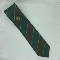 Member's striped tie in Brown/Green